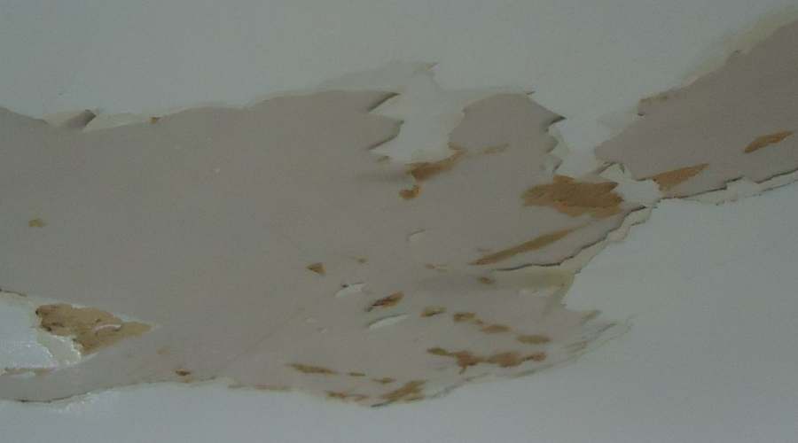 Frozen & Burst Pipes in Houston: How to Protect Your Home This Winter