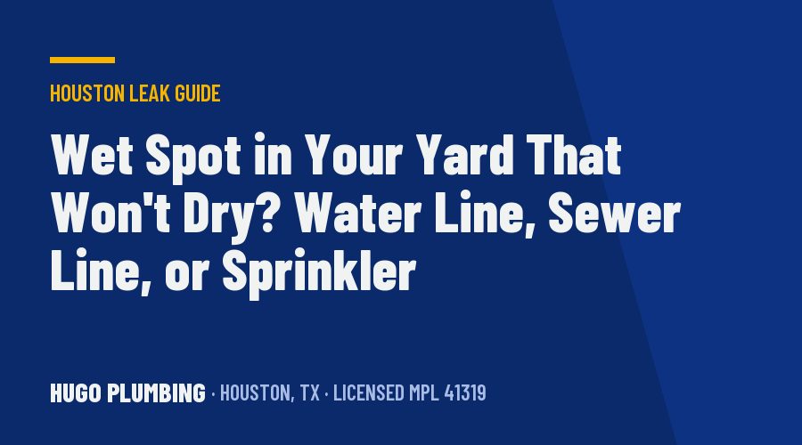 Wet Spot in Your Yard That Won't Dry? How to Tell a Water Line Leak From a Sewer Leak or a Sprinkler